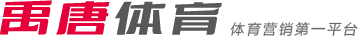 球队对于整